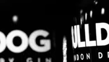 BullDog