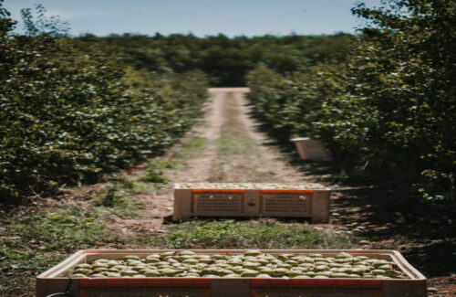 triPortugal triPortugal